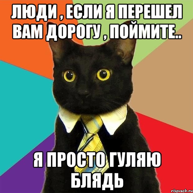 люди , если я перешел вам дорогу , поймите.. я просто гуляю блядь, Мем  Кошечка