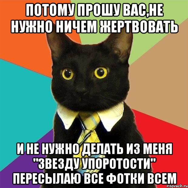 потому прошу вас,не нужно ничем жертвовать и не нужно делать из меня "звезду упоротости" пересылаю все фотки всем, Мем  Кошечка