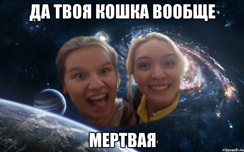 да твоя кошка вообще мертвая, Мем космические дауны