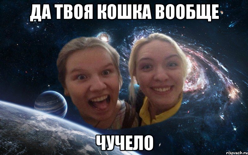 да твоя кошка вообще чучело, Мем космические дауны