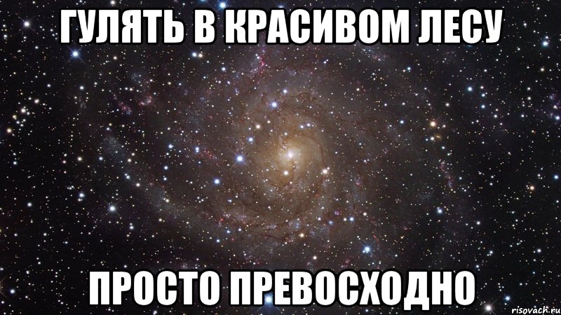 гулять в красивом лесу просто превосходно, Мем  Космос (офигенно)