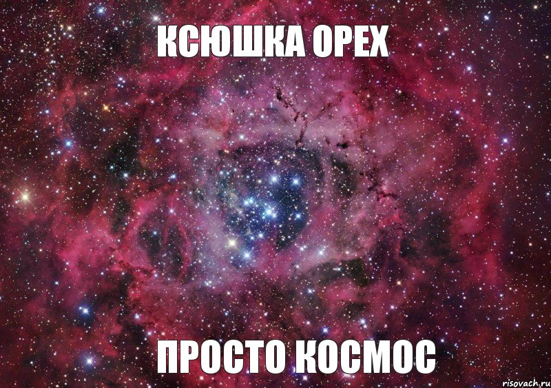 КСЮШКА ОРЕХ ПРОСТО КОСМОС