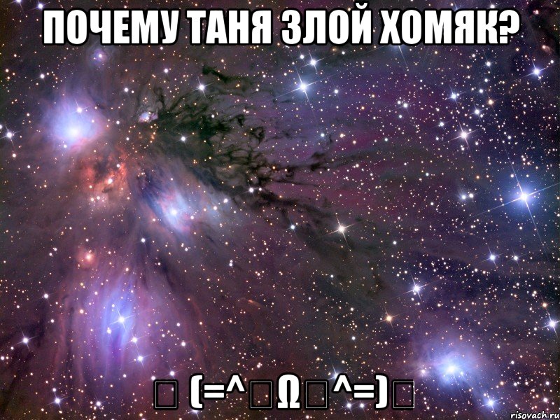 почему таня злой хомяк? ヽ (=^・ω・^=)ノ, Мем Космос