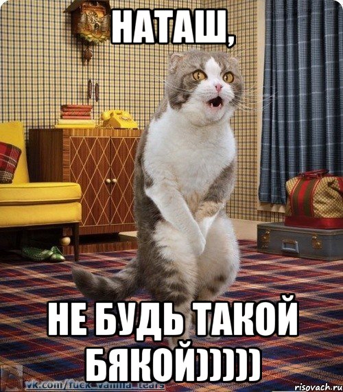 наташ, не будь такой бякой))))), Мем кот