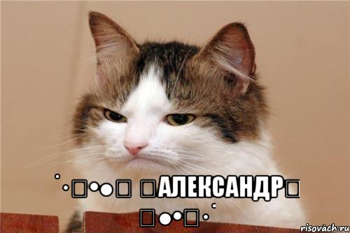  ˙·٠•●๑ ۩александр۩ ๑●•٠·˙, Мем кот