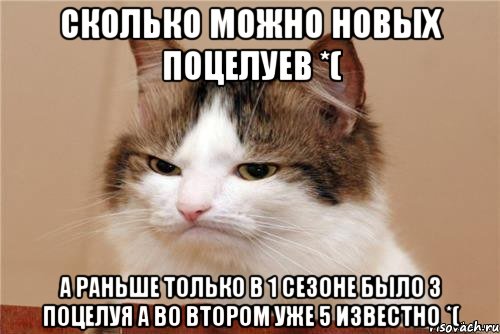 сколько можно новых поцелуев *( а раньше только в 1 сезоне было 3 поцелуя а во втором уже 5 известно *(, Мем кот