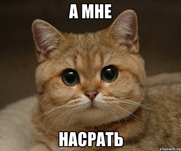 а мне насрать, Мем Пидрила Ебаная