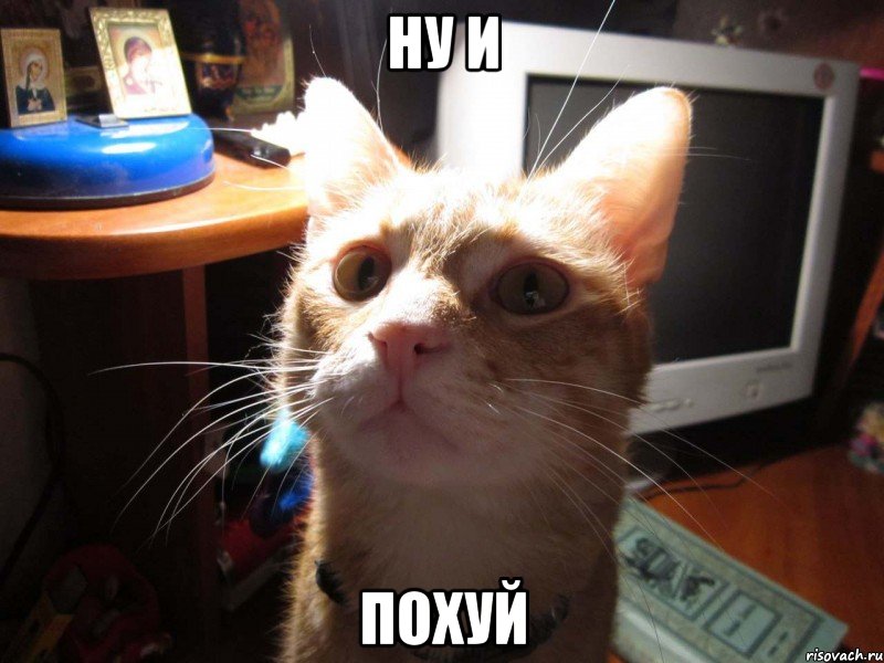 ну и похуй, Мем КОТЕЙКАХАЛКА