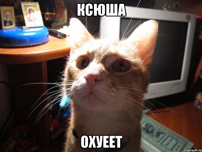 ксюша охуеет, Мем КОТЕЙКАХАЛКА