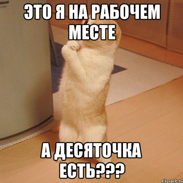 это я на рабочем месте а десяточка есть???, Мем  котэ молится