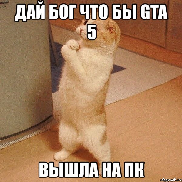 дай бог что бы gta 5 вышла на пк, Мем  котэ молится
