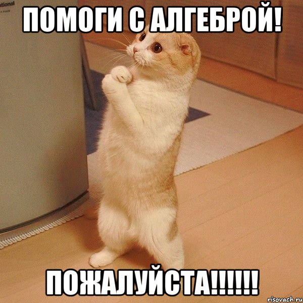 помоги с алгеброй! пожалуйста!!!, Мем  котэ молится