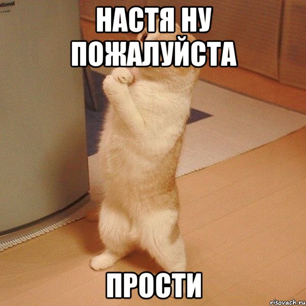 настя ну пожалуйста прости