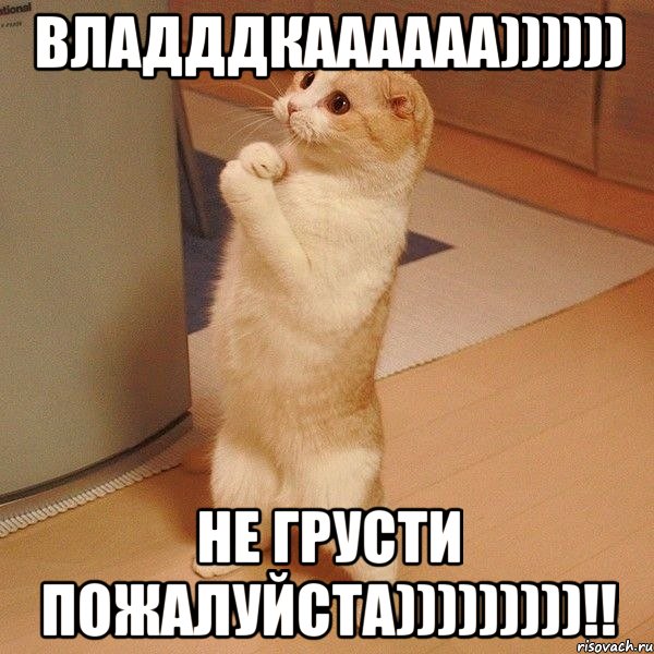 владддкаааааа)))))) не грусти пожалуйста)))))))))!!, Мем  котэ молится