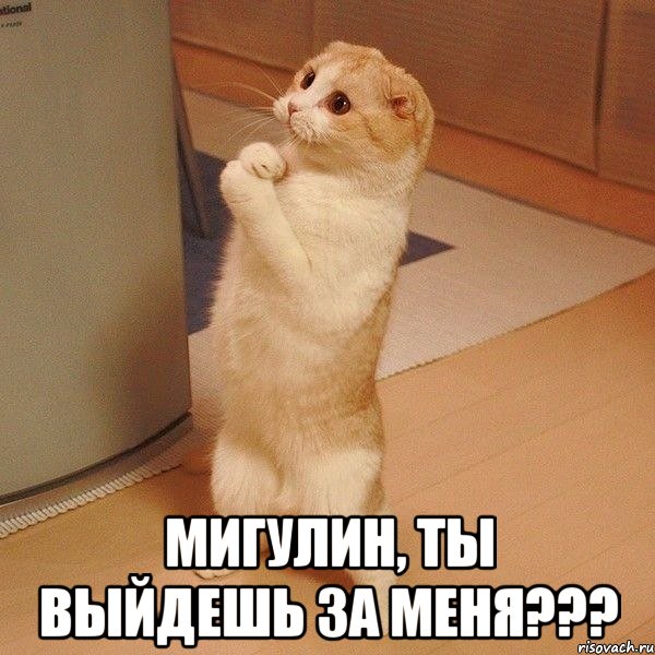  мигулин, ты выйдешь за меня???, Мем  котэ молится