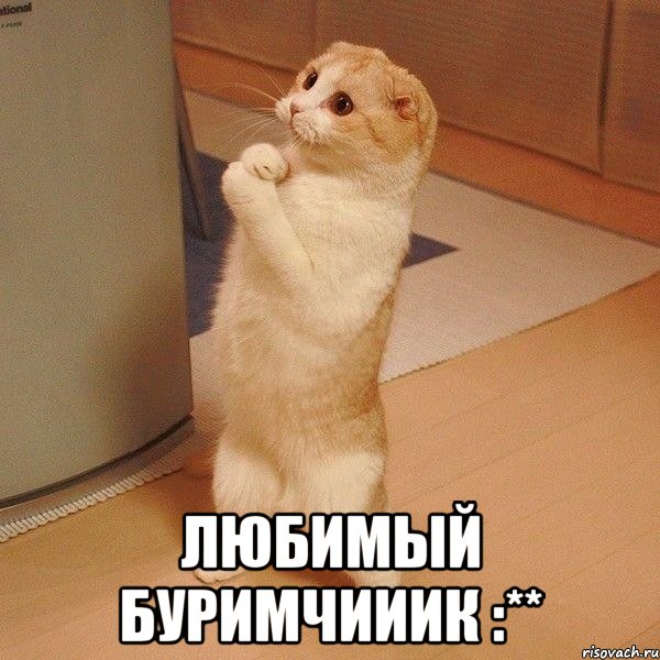  любимый буримчииик :**, Мем  котэ молится