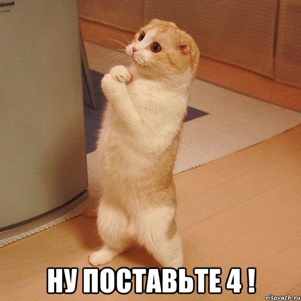  ну поставьте 4 !, Мем  котэ молится