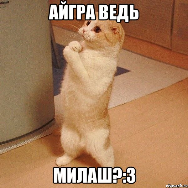 айгра ведь милаш?:3, Мем  котэ молится