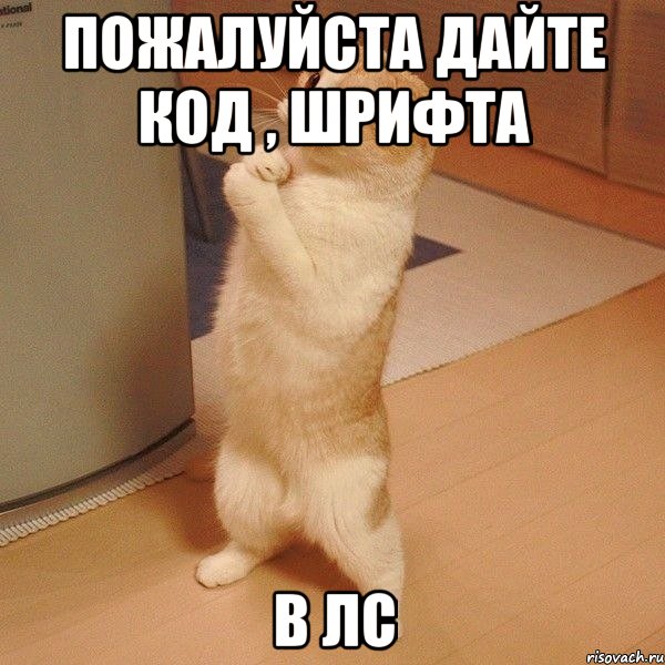 пожалуйста дайте код , шрифта в лс, Мем  котэ молится