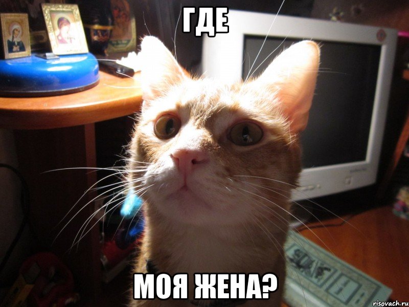 где моя жена?, Мем КОТЕЙКАХАЛКА