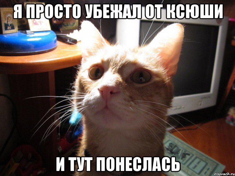я просто убежал от ксюши и тут понеслась, Мем КОТЕЙКАХАЛКА