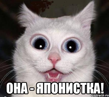  она - японистка!, Мем как статья не уникальна