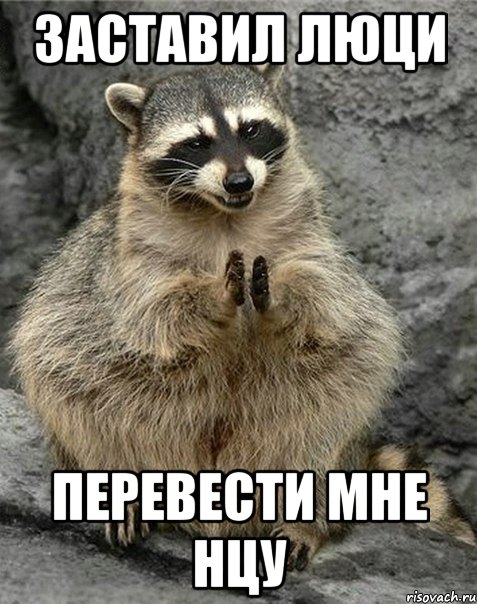 заставил люци перевести мне нцу