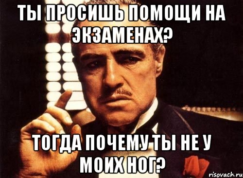 ты просишь помощи на экзаменах? тогда почему ты не у моих ног?, Мем крестный отец