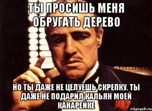 ты просишь меня обругать дерево но ты даже не целуешь скрепку. ты даже не подарил кальян моей канарейке, Мем крестный отец