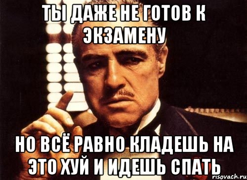 ты даже не готов к экзамену но всё равно кладешь на это хуй и идешь спать, Мем крестный отец