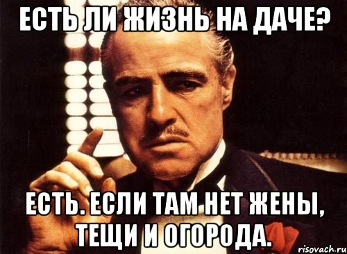 есть ли жизнь на даче? есть. если там нет жены, тещи и огорода., Мем крестный отец