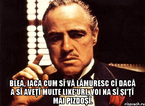  blea, iaca cum sî vă lămuresc cî dacă a sî aveţî multe like'uri, voi na sî şi'ţî mai pizdoşî., Мем крестный отец