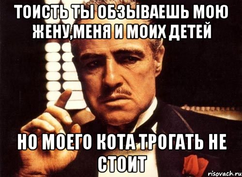 тоисть ты обзываешь мою жену,меня и моих детей но моего кота трогать не стоит, Мем крестный отец