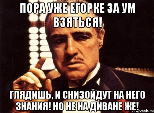 пора уже егорке за ум взяться! глядишь, и снизойдут на него знания! но не на диване же!, Мем крестный отец