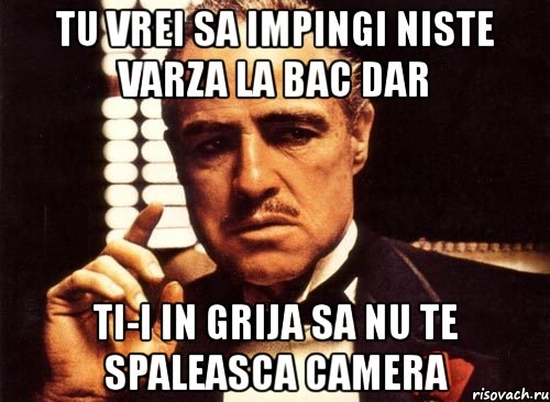 tu vrei sa impingi niste varza la bac dar ti-i in grija sa nu te spaleasca camera, Мем крестный отец