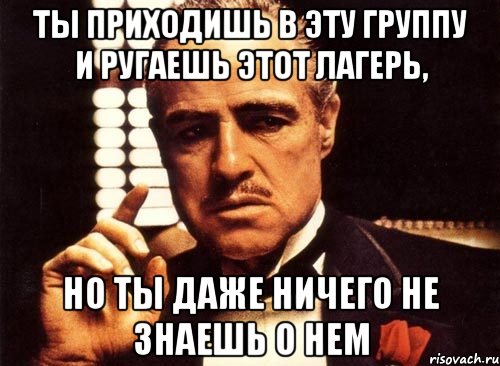 ты приходишь в эту группу и ругаешь этот лагерь, но ты даже ничего не знаешь о нем, Мем крестный отец