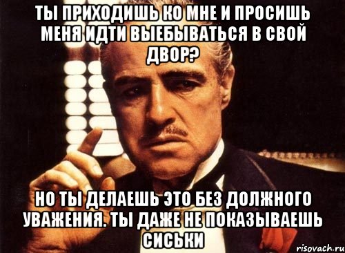 ты приходишь ко мне и просишь меня идти выебываться в свой двор? но ты делаешь это без должного уважения. ты даже не показываешь сиськи, Мем крестный отец