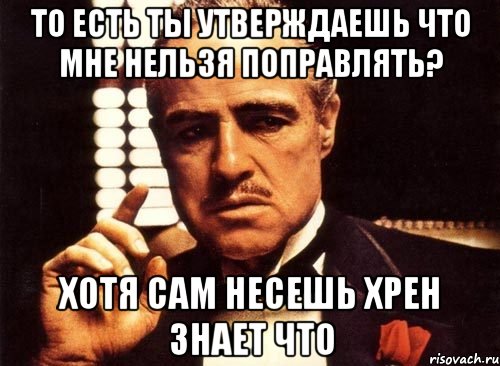 то есть ты утверждаешь что мне нельзя поправлять? хотя сам несешь хрен знает что, Мем крестный отец