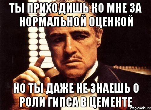 ты приходишь ко мне за нормальной оценкой но ты даже не знаешь о роли гипса в цементе, Мем крестный отец