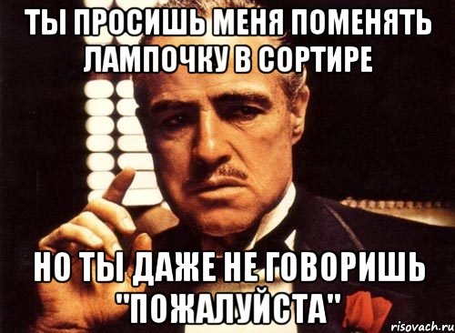 ты просишь меня поменять лампочку в сортире но ты даже не говоришь "пожалуйста", Мем крестный отец