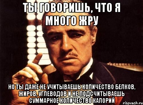 ты говоришь, что я много жру но ты даже не учитываешь количество белков, жиров, углеводов и не подсчитываешь суммарное количество калорий, Мем крестный отец