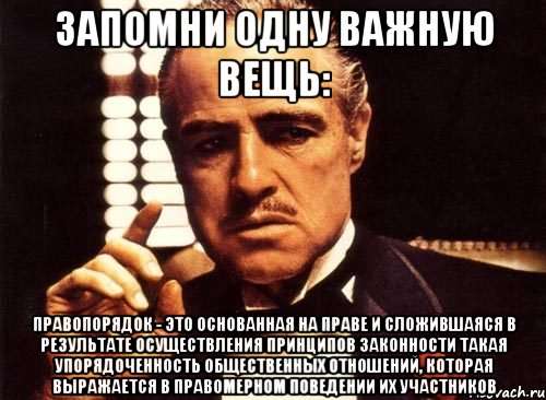 запомни одну важную вещь: правопорядок - это основанная на праве и сложившаяся в результате осуществления принципов законности такая упорядоченность общественных отношений, которая выражается в правомерном поведении их участников, Мем крестный отец