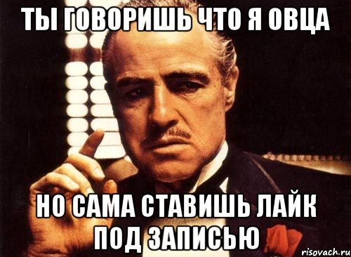 ты говоришь что я овца но сама ставишь лайк под записью, Мем крестный отец