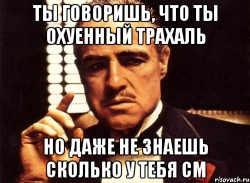 ты говоришь, что ты охуенный трахаль но даже не знаешь сколько у тебя см, Мем крестный отец