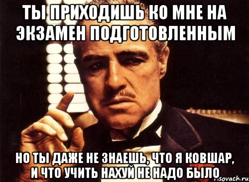 ты приходишь ко мне на экзамен подготовленным но ты даже не знаешь, что я ковшар, и что учить нахуй не надо было, Мем крестный отец