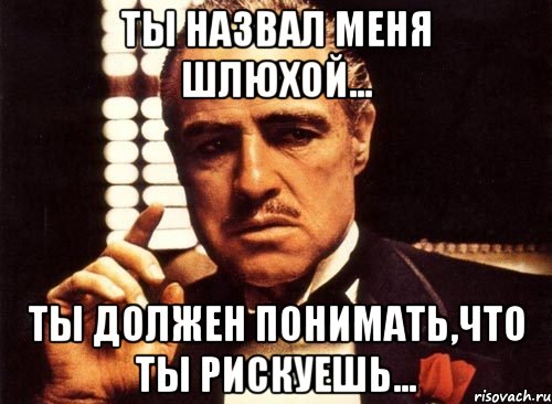 ты назвал меня шлюхой... ты должен понимать,что ты рискуешь..., Мем крестный отец