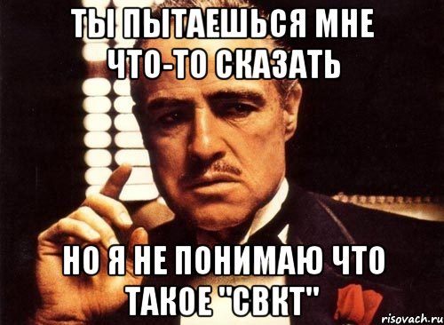 ты пытаешься мне что-то сказать но я не понимаю что такое "свкт", Мем крестный отец