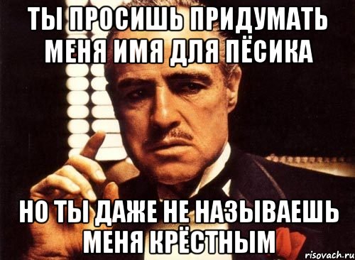 ты просишь придумать меня имя для пёсика но ты даже не называешь меня крёстным, Мем крестный отец