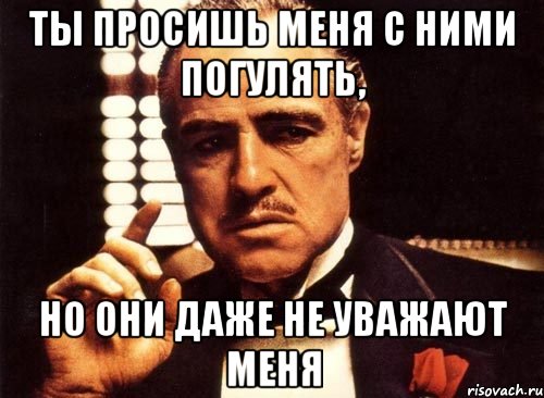 ты просишь меня с ними погулять, но они даже не уважают меня, Мем крестный отец