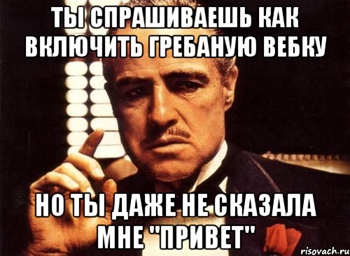 ты спрашиваешь как включить гребаную вебку но ты даже не сказала мне "привет", Мем крестный отец